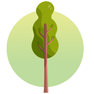 Regenwaldbaum